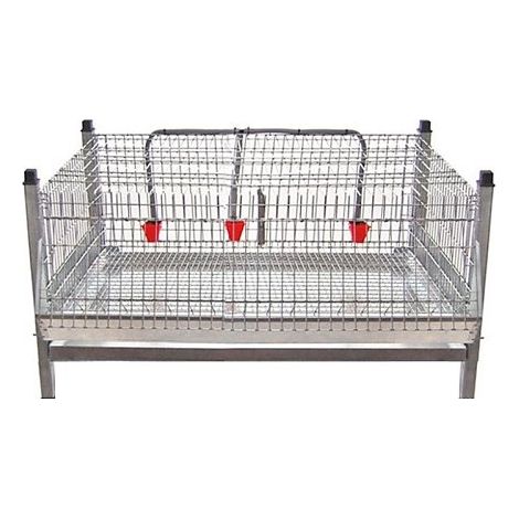 GYC Cage Exhibition Pollitos 0,90 m, Schritt 15 mm Boden, Ref: 11201021