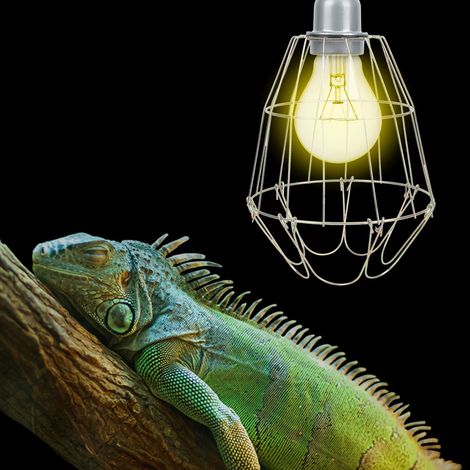 Lampe chauffante en métal pour reptiles et animaux de compagnie, abat-jour anti-brûlure avec filet de sécurité et douille. (1/5)