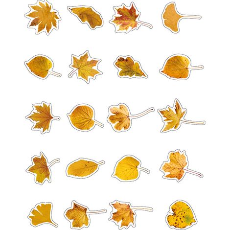 InfeelmePET Sticker-Set – Herbstblätter-Kollektion: DIY-Journaling-Zubehör mit Pflanzenmotiven, Dekorative Sticker (40 Blätter) – Tongxiang (1/5)