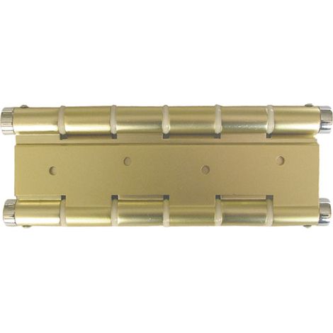 Bisagra Puerta Vaiven Doble Accion Aluminio Negro Micel (1/3)