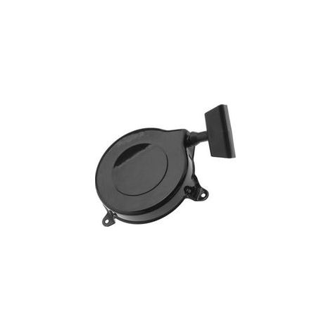 Lanceur pour Briggs & Stratton 300 Series (1/3)