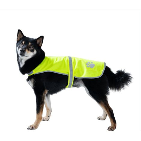 Gilet de sécurité réfléchissant pour animaux - Gilet anti-perte haute visibilité pour chien, idéal pour les promenades nocturnes (1/5)