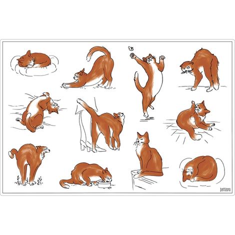 Set de table motif chat en polypropylène recyclé protecteur et facile à nettoyer 30 x 45 cm - PANGIVO