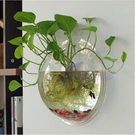 Pot de fleurs mural en acrylique transparent style aquarium 15 cm x 195 cm x 26 cm