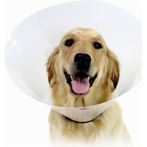 Collare elisabettiano per cani KVP Check Trasparente (22-27 cm)