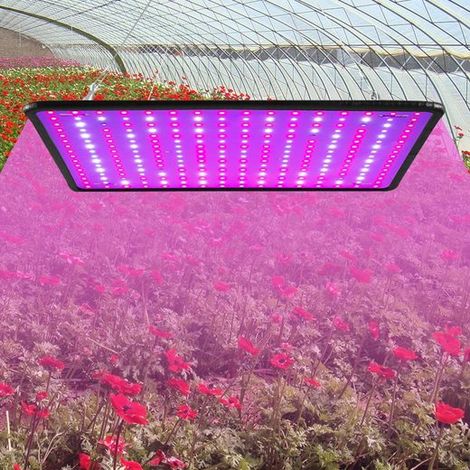 Lampe de croissance à spectre complet, serre, légumes et fleurs d'intérieur, lampe de croissance LED, A-AquaForge