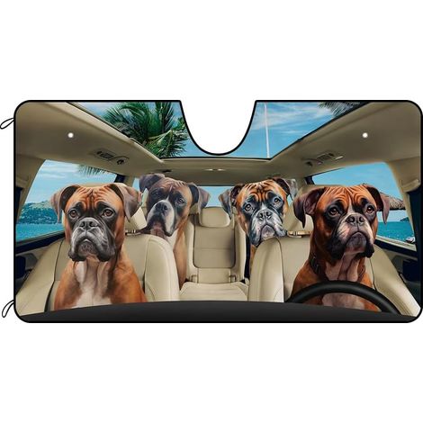 Pare-Soleil Voiture pour Ford S-Max Vignale 2015-2025 (1/4)