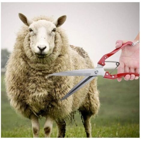 Cisailles manuelles pour moutons, chèvres et agneaux, ciseaux en acier inoxydable pour la tonte à la main, ciseaux multifonctionnels pour la coupe de la laine de mouton (1/4)