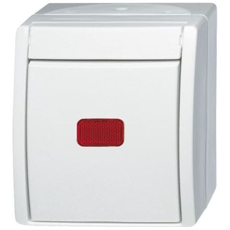 Busch-Jaeger Interrupteur de contrôle à bascule Bascule, circuit va-et-vient avec lampe néon alpinweiß - ocean® (2601/6 SKW-54), 2CKA001085A1622