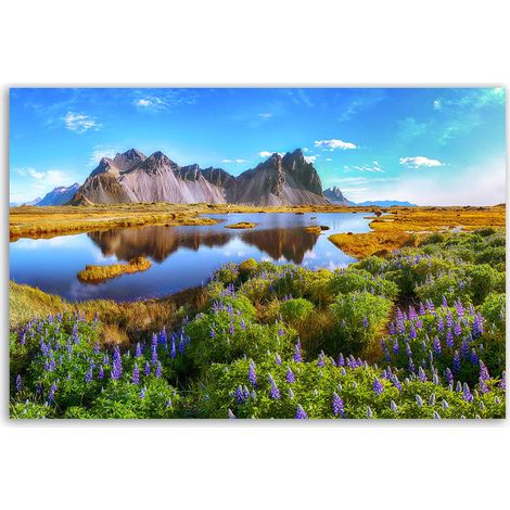 Tableau paysage fleuri aux montagnes noires (1/5)