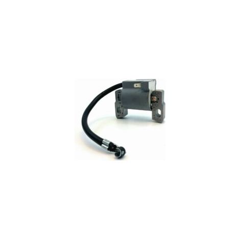 Bobine d'allumage Briggs & Stratton 796500 Briggs & Stratton Pack alta tensione Bobine d'allumage - Crezuo (1/2)
