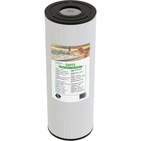 Filtre spa (40506 / C-4950 / PRB50-IN / T-4950 / FC-2390) - Classique (1/3)