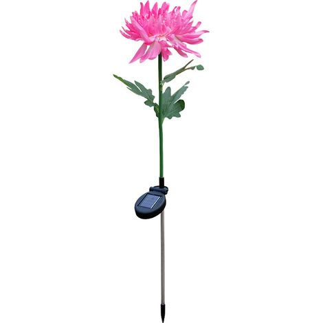 Lampes solaires à piquer pour jardin, chrysanthèmes solaires (1/5)