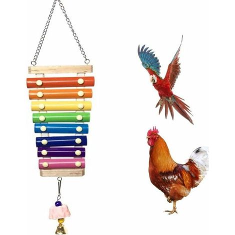 royaluxe - Xylophone en forme de poule en bois suspendu accessoire de cage de jouet interactif Musical avec chaîne en métal pour perroquet de poulet de poule