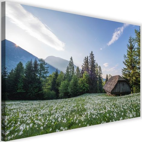 Tableau sur toile Paysage Maison de montagne 60x40 (1/5)