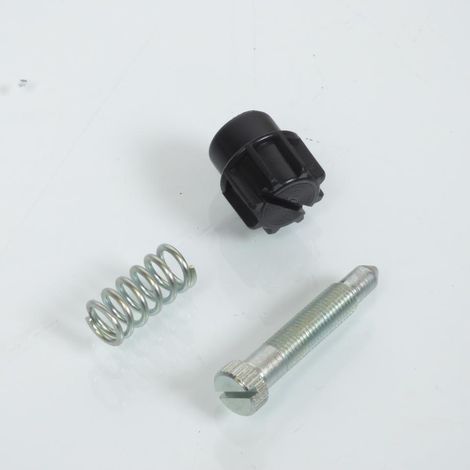 Kit vis de ralenti pour carburateur moto Dellorto VHSA 5309000