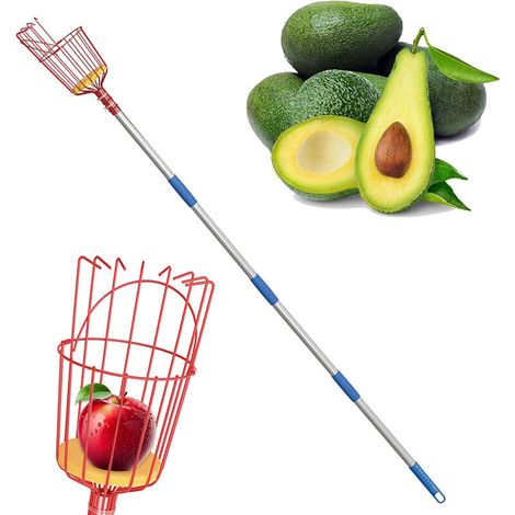 Cueille-fruits, perche de 1,6 m avec panier télescopique, cueille-fruits pour pommiers avec perche extensible, pince à fruits (1/5)