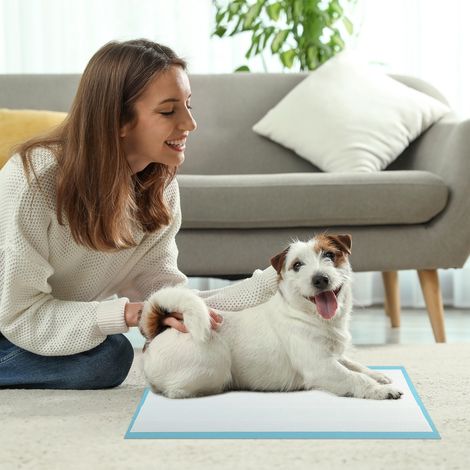 Tapis d'Apprentissage pour Chiens et Chiots 57.5 x 44CM (300 Unités) Tapis pour Animaux de Compagnie à 6 Couches à l'Épreuve des Fuites Bleu (1/5)