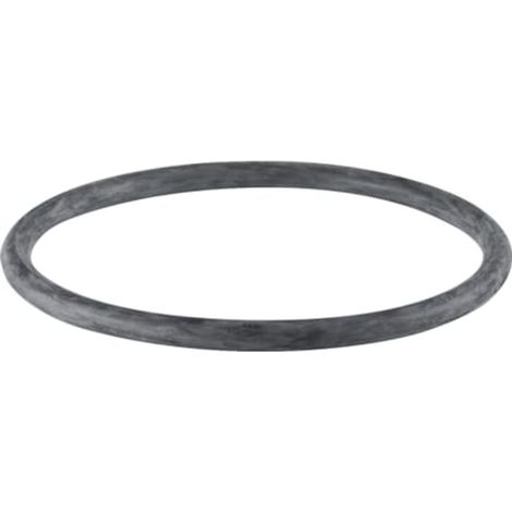 Geberit PE Rundschnurring,  DN 125,  dø 125 mm, 368.789.00.1