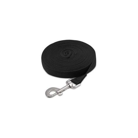 Longe pour chien 5m Laisse de dressage en nylon léger Mousqueton métal Poignée rembourrée Pour entraînement, randonnée, plage