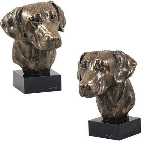 Rhodesian Ridgeback, perro león africano: estatuilla de perro, busto sobre una base de piedra, escultura, trofeo para una exposición canina de Art-Dog. (1/5)