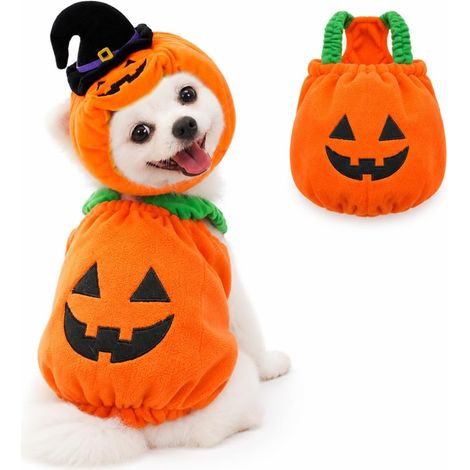 Costume per cani di piccola taglia, travestimento da zucca di Halloween con cappello, costume da zucca di Halloween 4D per Yorkshire Terrier, Chihuahua, cucciolo di barboncino (XS) (1/5)