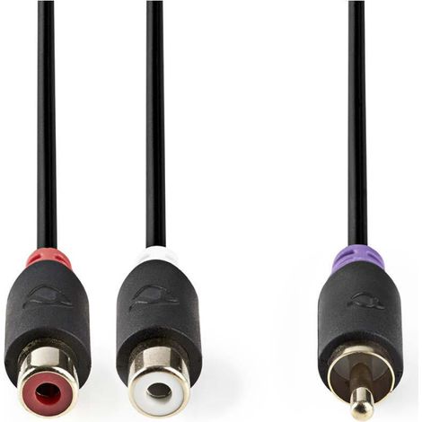 CABW24010AT02 Câble subwoofer RCA Mâle 2x RCA Femelle Plaqué or 0.20 m Rond 4.0 mm Anthracite Boîte (1/2)