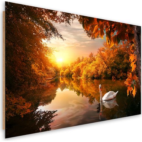 Quadro deco panel, Cigno sullo stagno autunno - 60x40 (1/5)