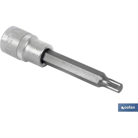 1/2 Glas mit langer Spitze Xzn-5 (1/2)