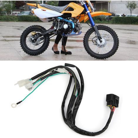 Kabelbaum-Ersatzteil passend für LIFAN W150cc ZS / ZHONGSHEN 155cc PIT PRO Trail Dirt Bike (1/5)