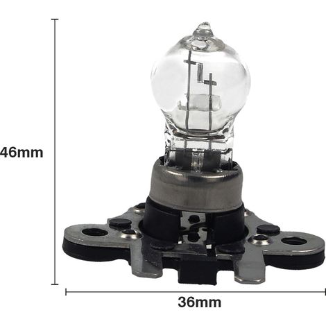 Coppia lampade alogene PH19W 12V 19W doppio pin clear per Mercedes-Benz W251 (1/2)