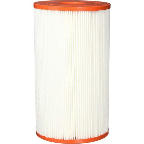 PLEATCO Pin20 Cartouche de Remplacement pour INTEX Easy Set Piscine B Version, 1 Cartouche - Pleatco Electronic & Filter Corp.