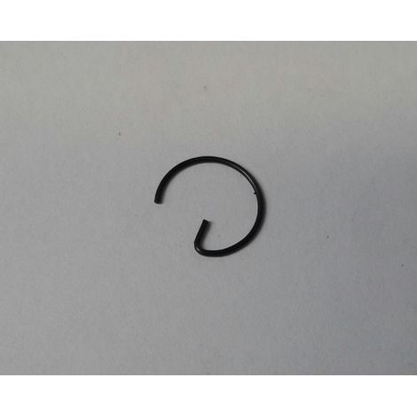 CLIP - EHLIS