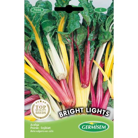 graines Poirée BRIGHT LIGHTS (1/2)