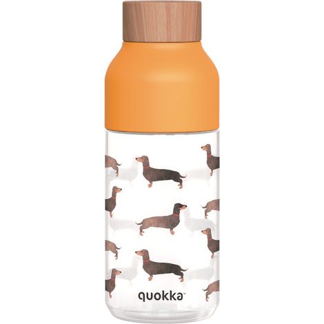 Quokka Ice - ecozen Borraccia 570 ml (Bassotto) (1/4)