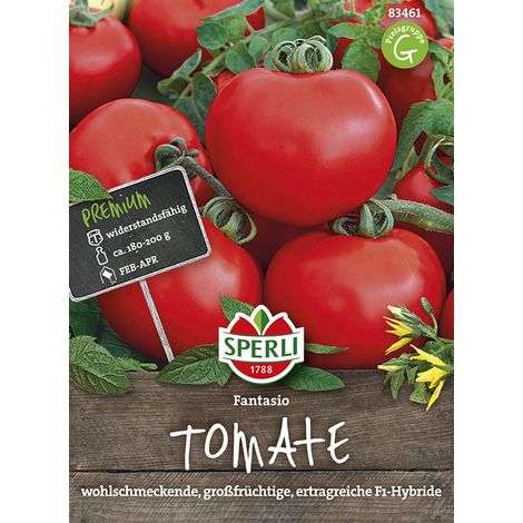 Sperli Tomaten Fantasio F1 - Gemüsesamen (1/4)