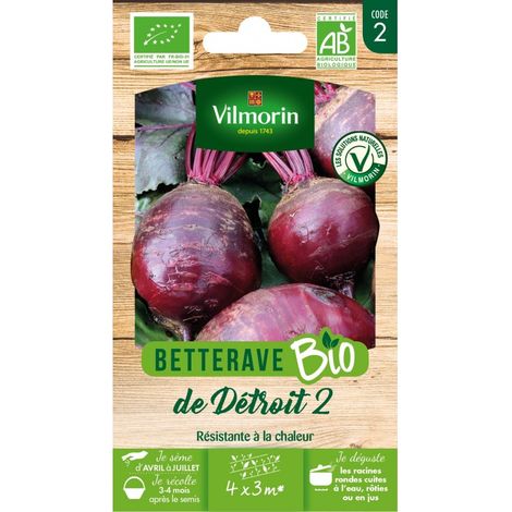 Vilmorin - Betterave Bio détroit 2 (1/2)