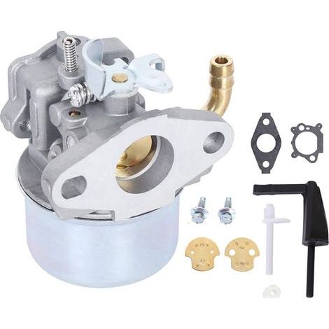 Carburateur 798653 698860 697354 790290 791077 696065 697422, carburateur à chambre à flotteur, adapté aux moteurs Briggs & Plough, assure une alimentation en carburant stable. (1/5)