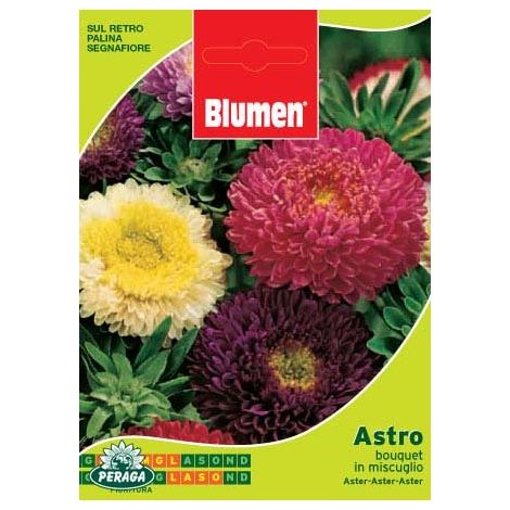 BUSTINA CON SEMI DI ASTRO BOUQUET IN MISCUGLIO