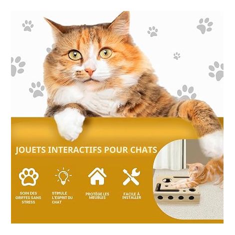 LZDMY Boîte à Griffer Interactive pour Chat avec Balle et Papier de Verre  Jouet pour Chat Puzzle en Bois,Griffoir Interactif avec Baguette à Chat Massif avec Plume au Jeu pour Chat, Chaton (1/4)