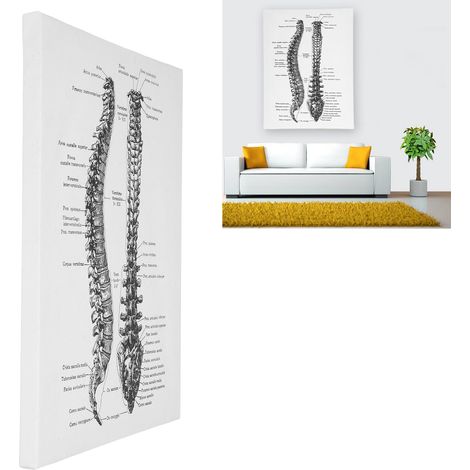 Wanddekoration mit Darstellung menschlicher Organe, Krankenhausstil, Retro-Hängekunst, Stil B (1/5)