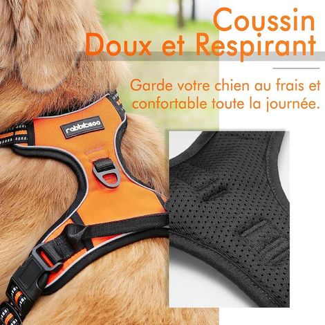 Harnais anti-traction orange Rabbitgoo S, réglable et réfléchissant avec attache avant pour chiens (1/5)
