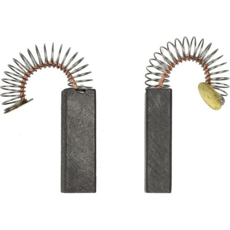 Balais de charbon 6,3 x 8,0 x 25 mm, lot de 2 (UE)