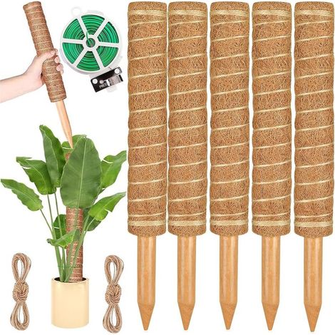 Support pour Plantes Grimpantes de 40 cm – Tige en Bois et Mousse Naturelle pour Monstera, Pothos et Philodendron (1/4)
