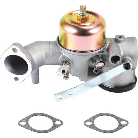 Carburateur avec joint pour moteur 12 CV 491031 490499 491026 281707 (1/5)
