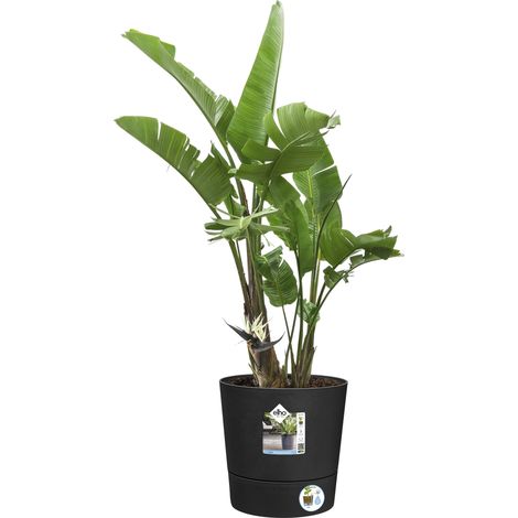 Elho Foss Rond 30 - Noir - L 30 x B 29.5 x H 29 cm - extérieur - 100% recyclé (1/2)