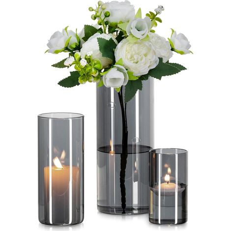 Vase Cylindrique en Verre Gris : 3pcs Vases à Fleurs Modernes pour Centre De Table - Porte-Bougies DéCoratifs en Forme D'Ouragan Vase à Tulipes en Herbe De La Pampa pour Fleurs (10/15/20cm) (1/5)