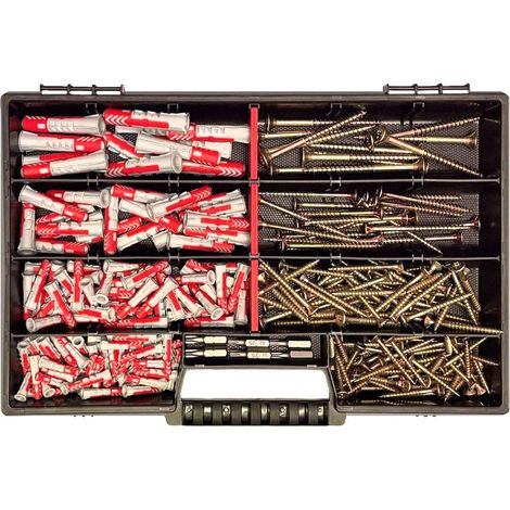 Coffret de vis comprenant 280 pièces (chevilles fischer DuoPower incluses), 6 embouts Torx (tailles 5x25 à 10x50 mm), idéal pour les bricoleurs et pour la fixation sur béton, pierre et plaques de plât (1/5)