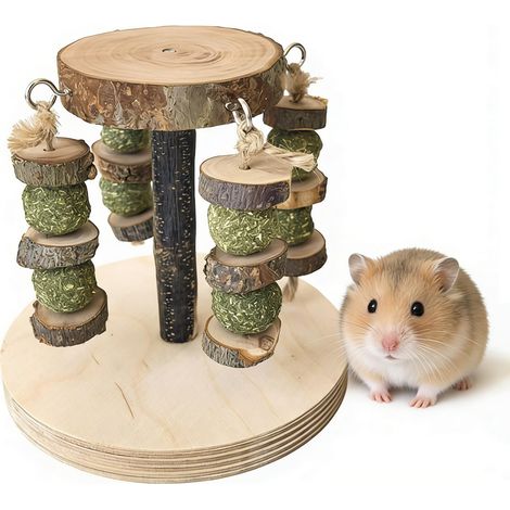 Jouets pour Hamsters - Boule Hamster - Accessoire Lapin - MMCD-ZGL-05400 (1/5)