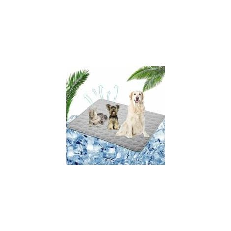Tapis De Refroidissement Pour Animaux - Tissu Soie Glacée Double Face - 50 x 65 cm - Pour Chiens Et Chats - 1 Pièce (1/5)